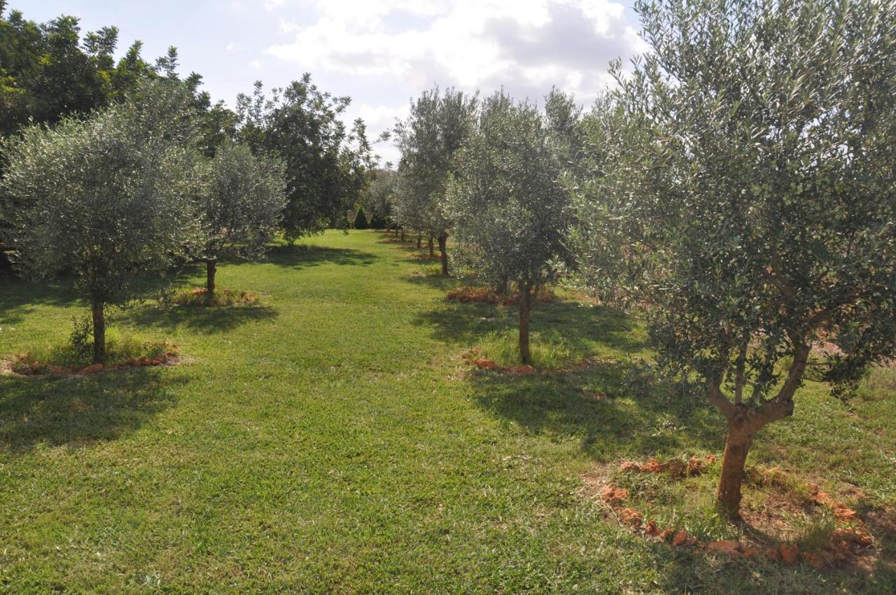 Can Porreti Agroturisme Lloret de Vistalegre Buitenkant foto